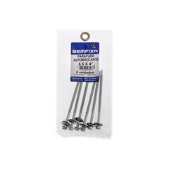 PARAFUSO P/TELHA 5 5X4” BROCANTE C/06PCS - BEMFIXA