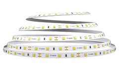 FITA DE LED ADVANCED 5MTS 24W/M 12V IP20 6500K 12V - LLUMM