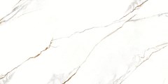 PORCELANATO RETIFICADO POLIDO 60X120 VENE DORO - DELTA