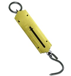 BALANCA PEIXEIRA 25KG- WESTERN