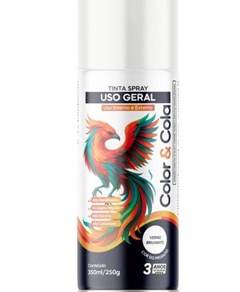 VERNIZ SPRAY USO GERAL 350ML BRILHANTE - COLOR&COLA